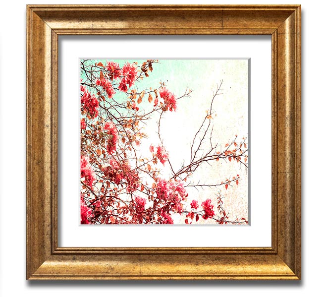 Antique Cherry Blossom Square Framed Print showcasing delicate cherry blossoms in a stylish frame.