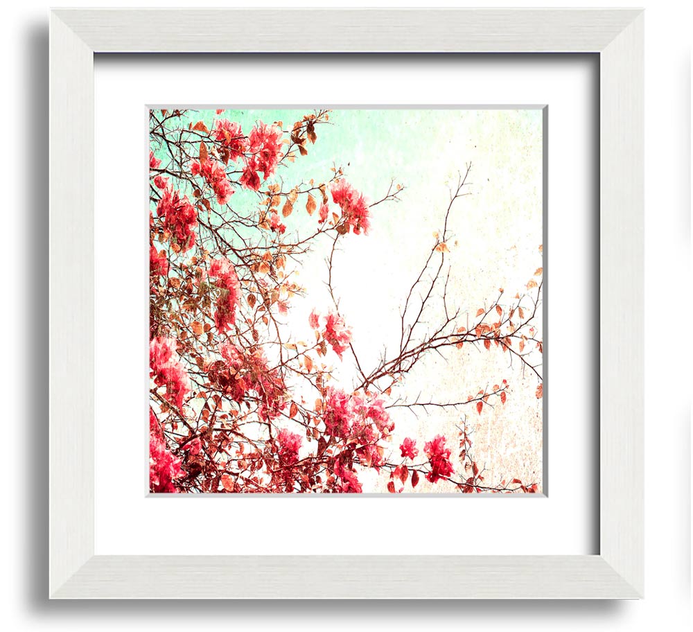 Antique Cherry Blossom Square Framed Print showcasing delicate cherry blossoms in a stylish frame.