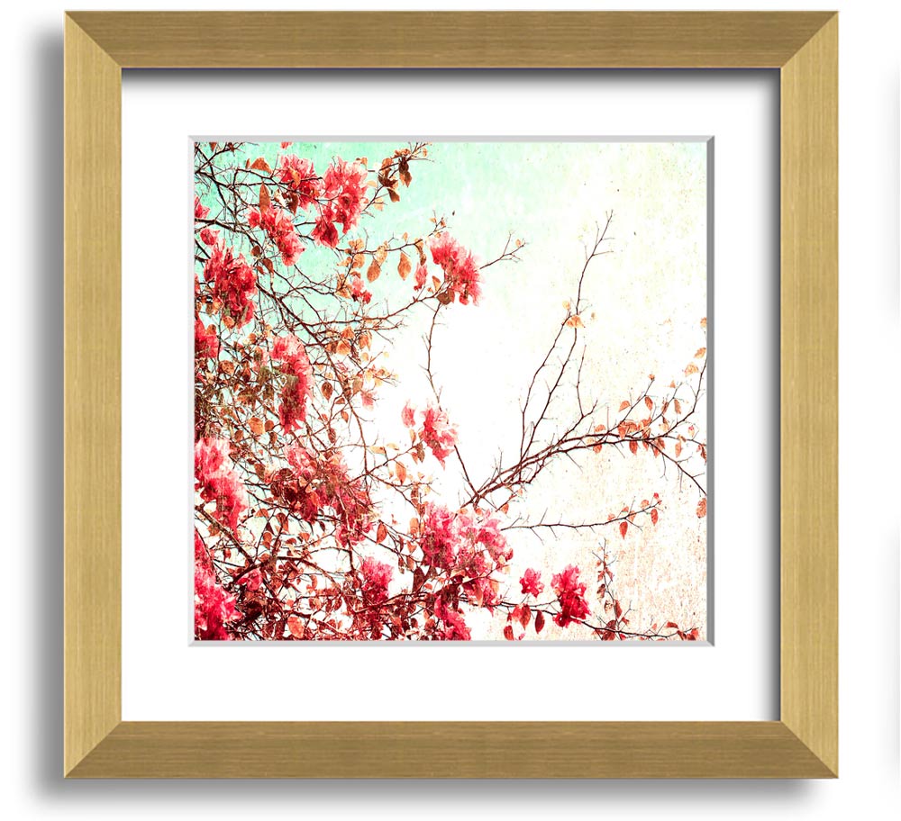 Antique Cherry Blossom Square Framed Print showcasing delicate cherry blossoms in a stylish frame.