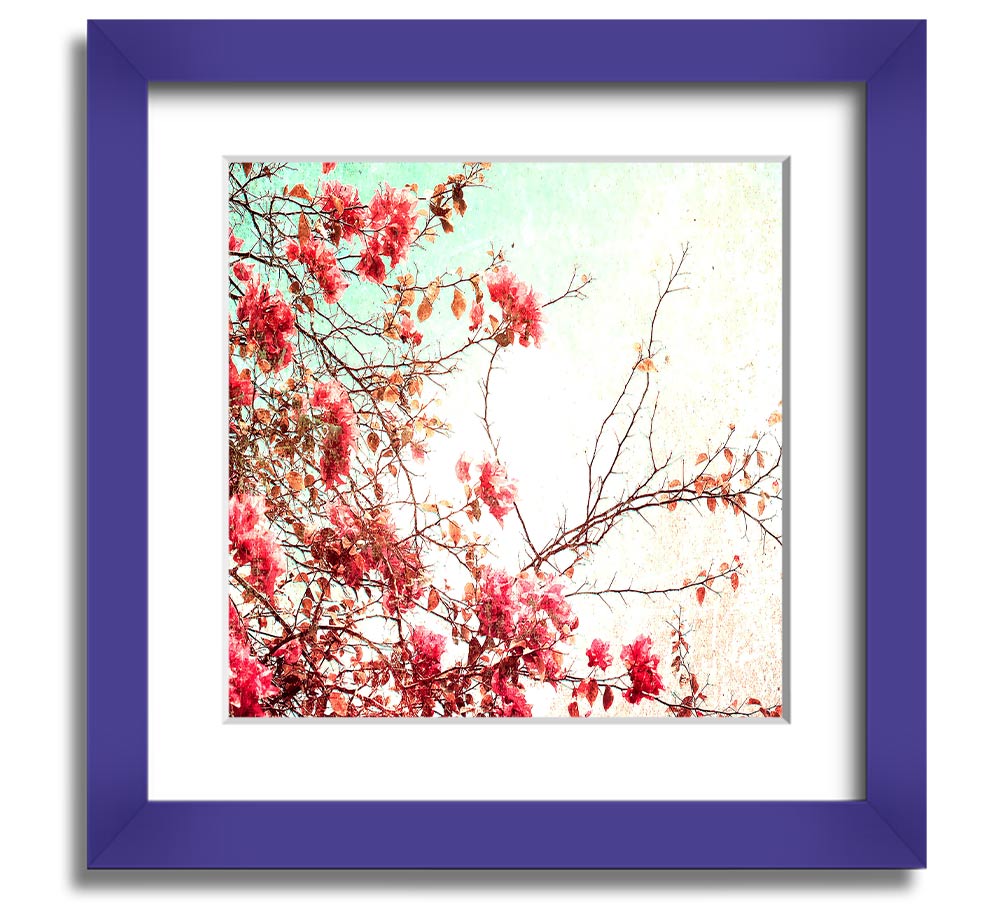 Antique Cherry Blossom Square Framed Print showcasing delicate cherry blossoms in a stylish frame.