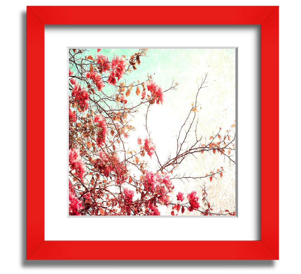 Antique Cherry Blossom Square Framed Print showcasing delicate cherry blossoms in a stylish frame.