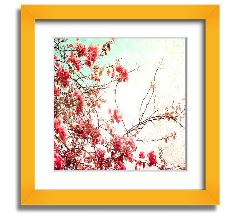 Antique Cherry Blossom Square Framed Print showcasing delicate cherry blossoms in a stylish frame.