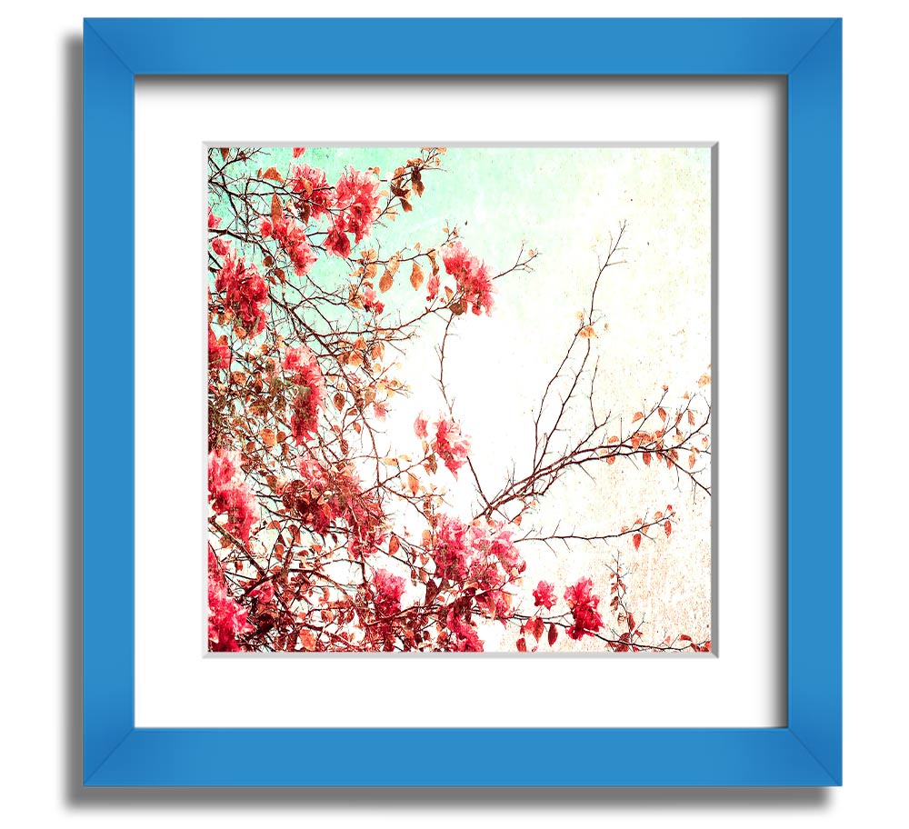 Antique Cherry Blossom Square Framed Print showcasing delicate cherry blossoms in a stylish frame.