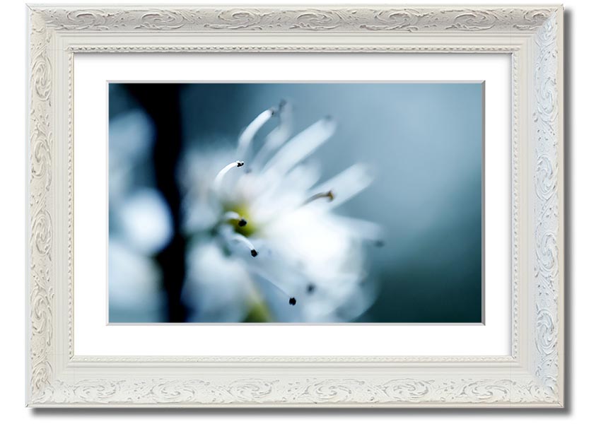 A beautifully framed print of apple blossoms, showcasing delicate flowers in soft colors, ready to hang on a wall.