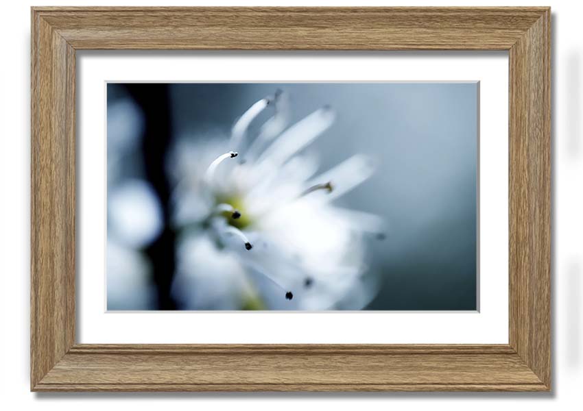 A beautifully framed print of apple blossoms, showcasing delicate flowers in soft colors, ready to hang on a wall.