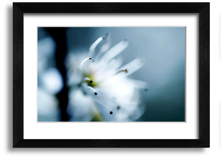 A beautifully framed print of apple blossoms, showcasing delicate flowers in soft colors, ready to hang on a wall.