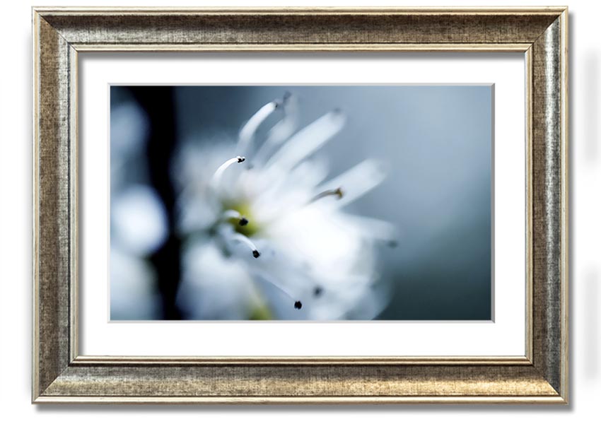 A beautifully framed print of apple blossoms, showcasing delicate flowers in soft colors, ready to hang on a wall.