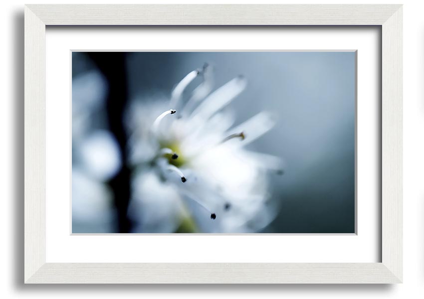 A beautifully framed print of apple blossoms, showcasing delicate flowers in soft colors, ready to hang on a wall.