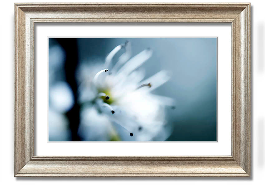 A beautifully framed print of apple blossoms, showcasing delicate flowers in soft colors, ready to hang on a wall.