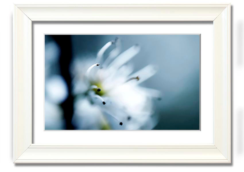 A beautifully framed print of apple blossoms, showcasing delicate flowers in soft colors, ready to hang on a wall.