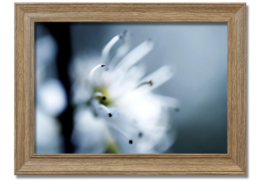 A beautifully framed print of apple blossoms, showcasing delicate flowers in soft colors, ready to hang on a wall.