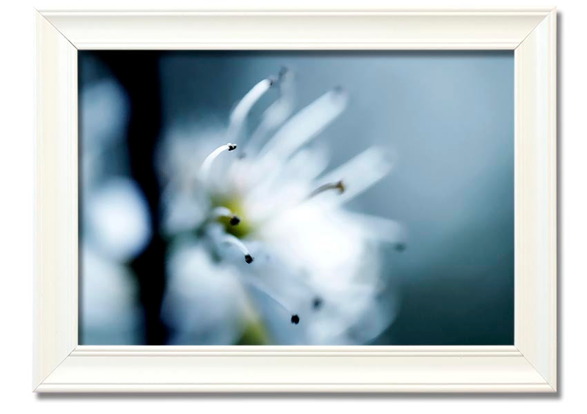 A beautifully framed print of apple blossoms, showcasing delicate flowers in soft colors, ready to hang on a wall.