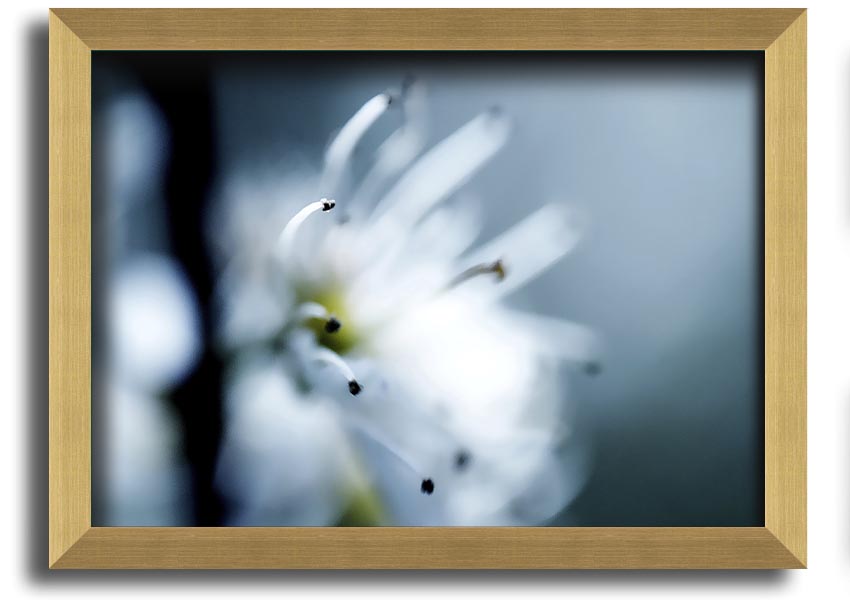 A beautifully framed print of apple blossoms, showcasing delicate flowers in soft colors, ready to hang on a wall.