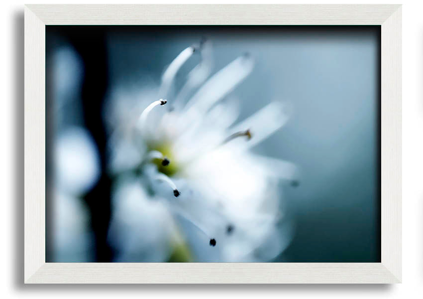 A beautifully framed print of apple blossoms, showcasing delicate flowers in soft colors, ready to hang on a wall.