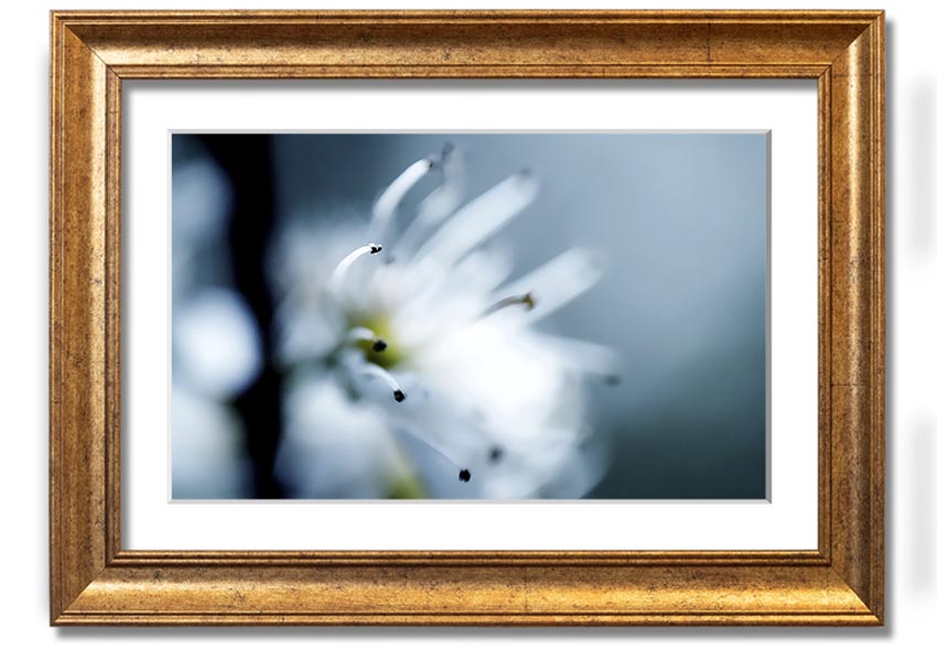 A beautifully framed print of apple blossoms, showcasing delicate flowers in soft colors, ready to hang on a wall.