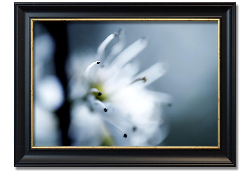 A beautifully framed print of apple blossoms, showcasing delicate flowers in soft colors, ready to hang on a wall.