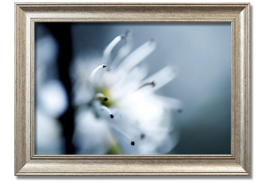 A beautifully framed print of apple blossoms, showcasing delicate flowers in soft colors, ready to hang on a wall.