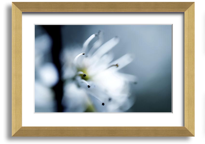 A beautifully framed print of apple blossoms, showcasing delicate flowers in soft colors, ready to hang on a wall.