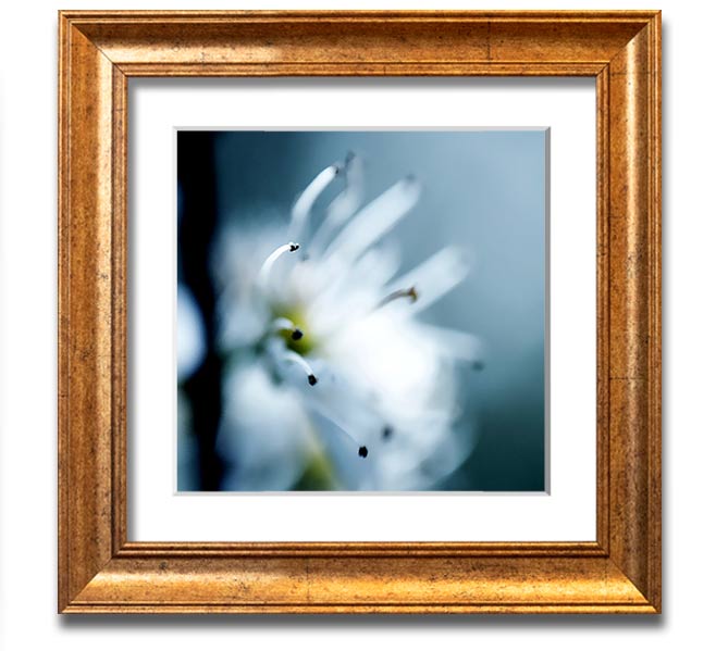 A beautifully framed square print of delicate apple blossoms, showcasing soft colors and intricate details, ready to hang.