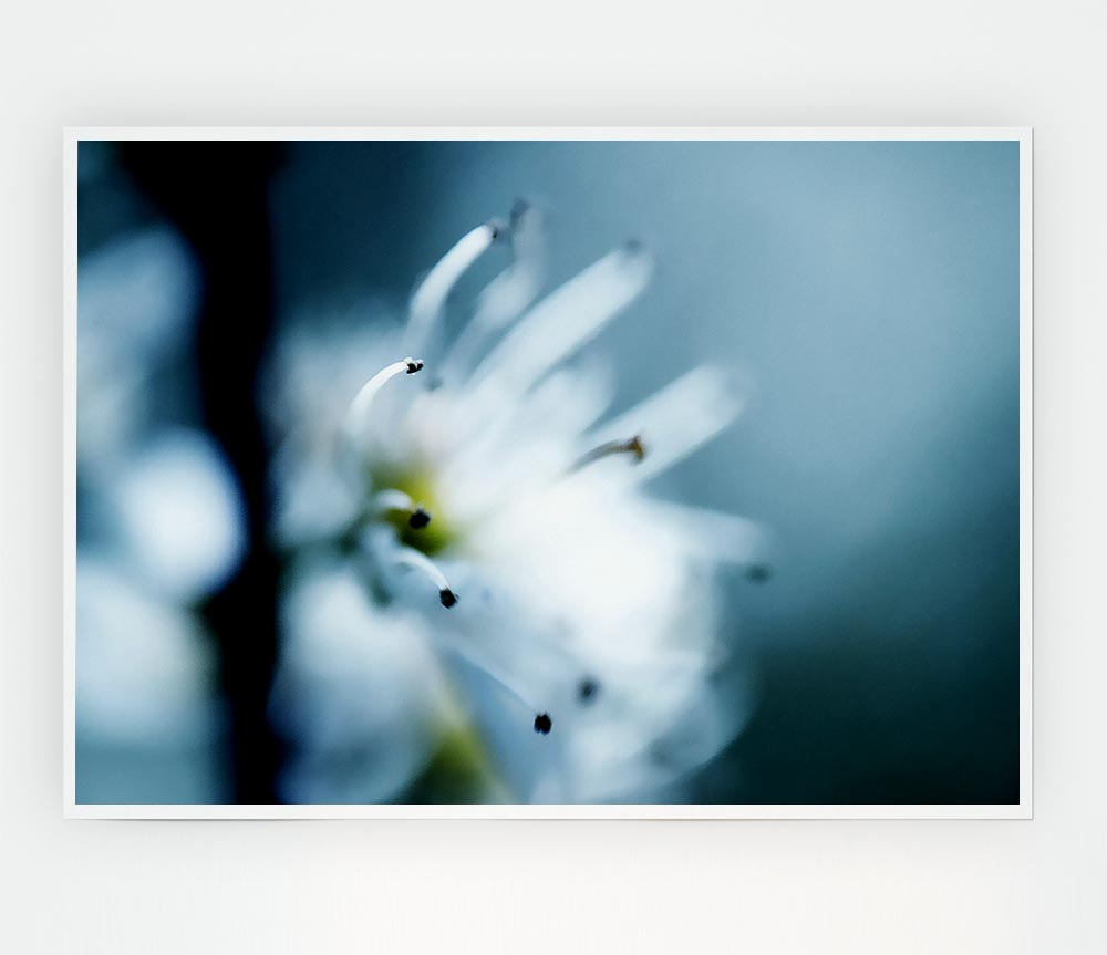 A vibrant Apple Blossom poster printed on high-quality canvas, showcasing delicate pink and white flowers against a soft background.