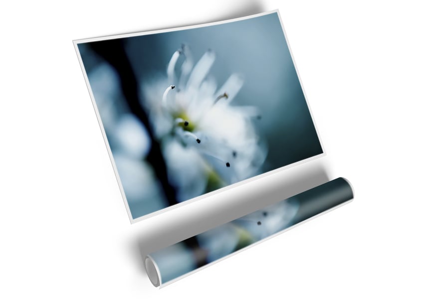 A vibrant Apple Blossom poster printed on high-quality canvas, showcasing delicate pink and white flowers against a soft background.