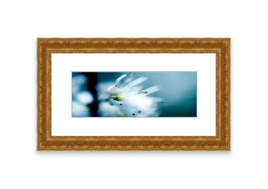 A beautifully framed print of apple blossoms, showcasing delicate pink flowers against a soft background, available in various frame colors.