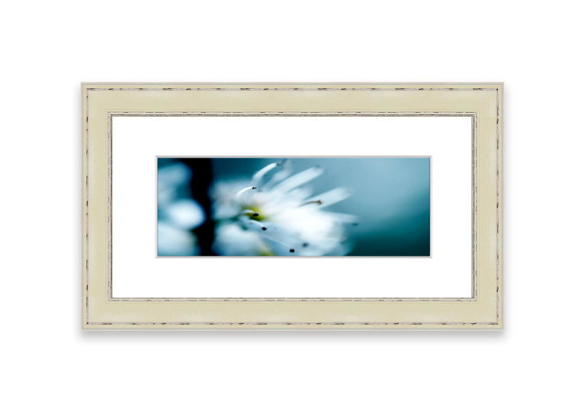 A beautifully framed print of apple blossoms, showcasing delicate pink flowers against a soft background, available in various frame colors.