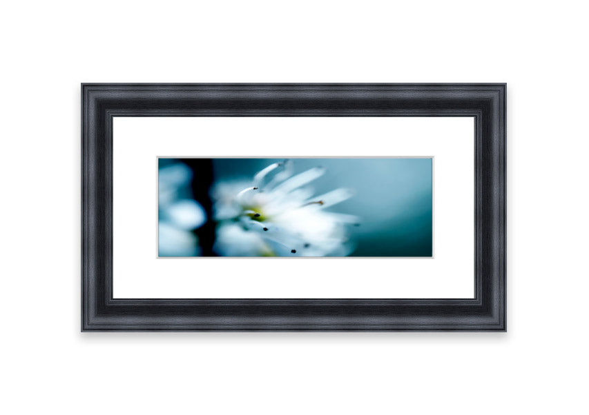 A beautifully framed print of apple blossoms, showcasing delicate pink flowers against a soft background, available in various frame colors.