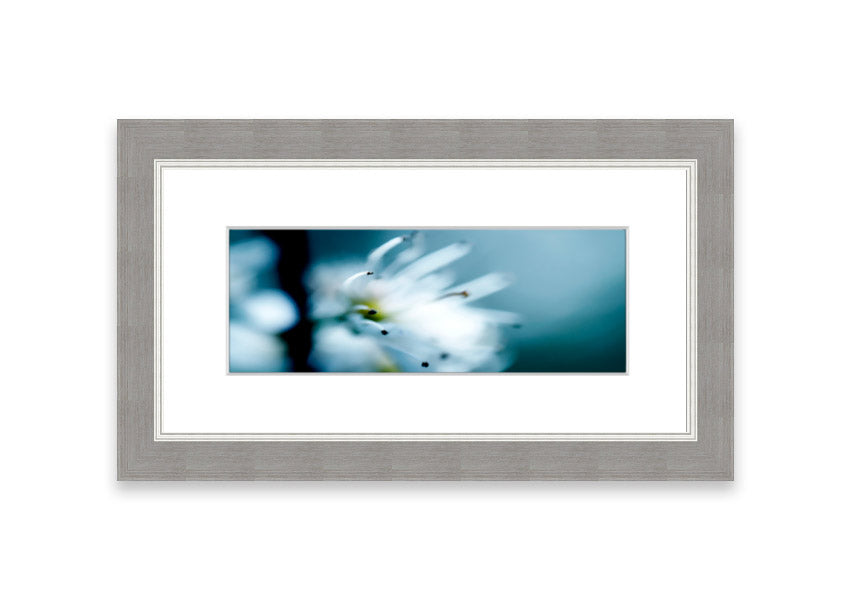 A beautifully framed print of apple blossoms, showcasing delicate pink flowers against a soft background, available in various frame colors.