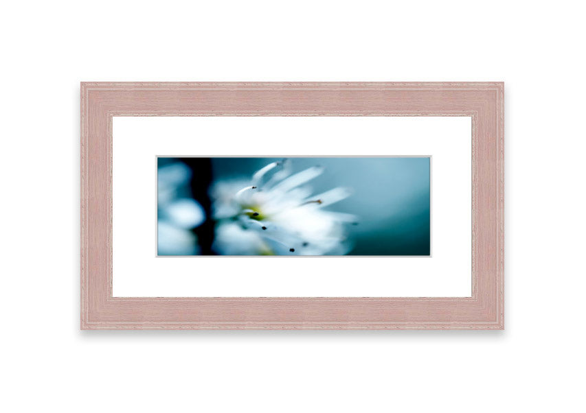 A beautifully framed print of apple blossoms, showcasing delicate pink flowers against a soft background, available in various frame colors.