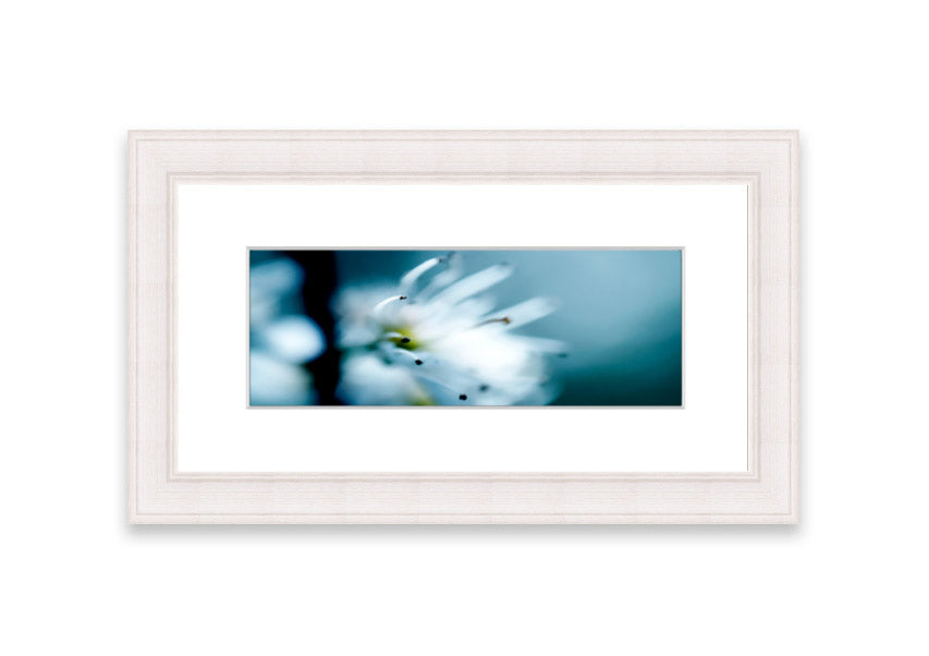 A beautifully framed print of apple blossoms, showcasing delicate pink flowers against a soft background, available in various frame colors.