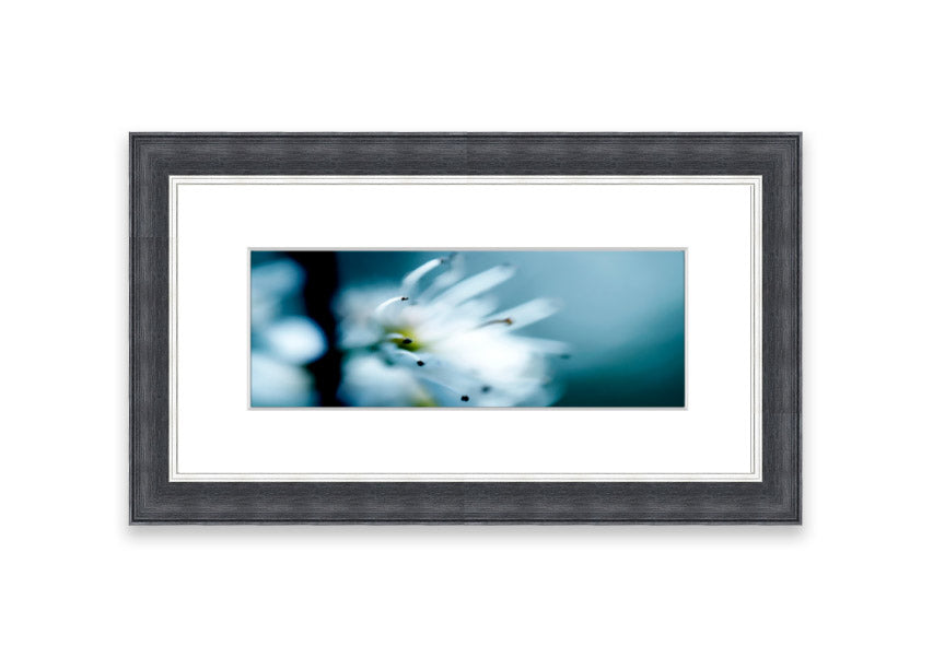 A beautifully framed print of apple blossoms, showcasing delicate pink flowers against a soft background, available in various frame colors.