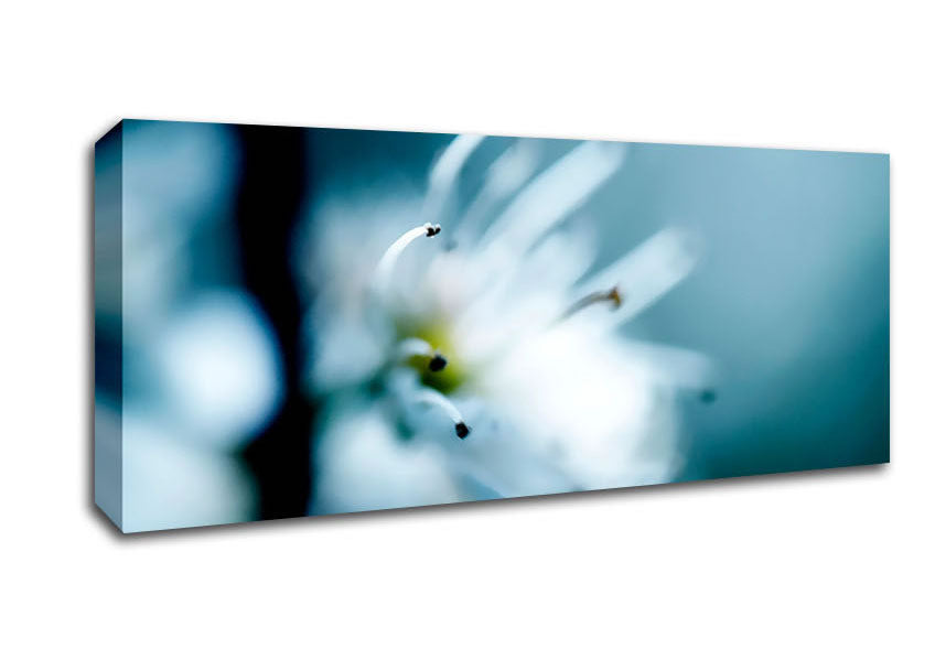 Vibrant Apple Blossom canvas art mounted on a box frame, showcasing delicate floral details.