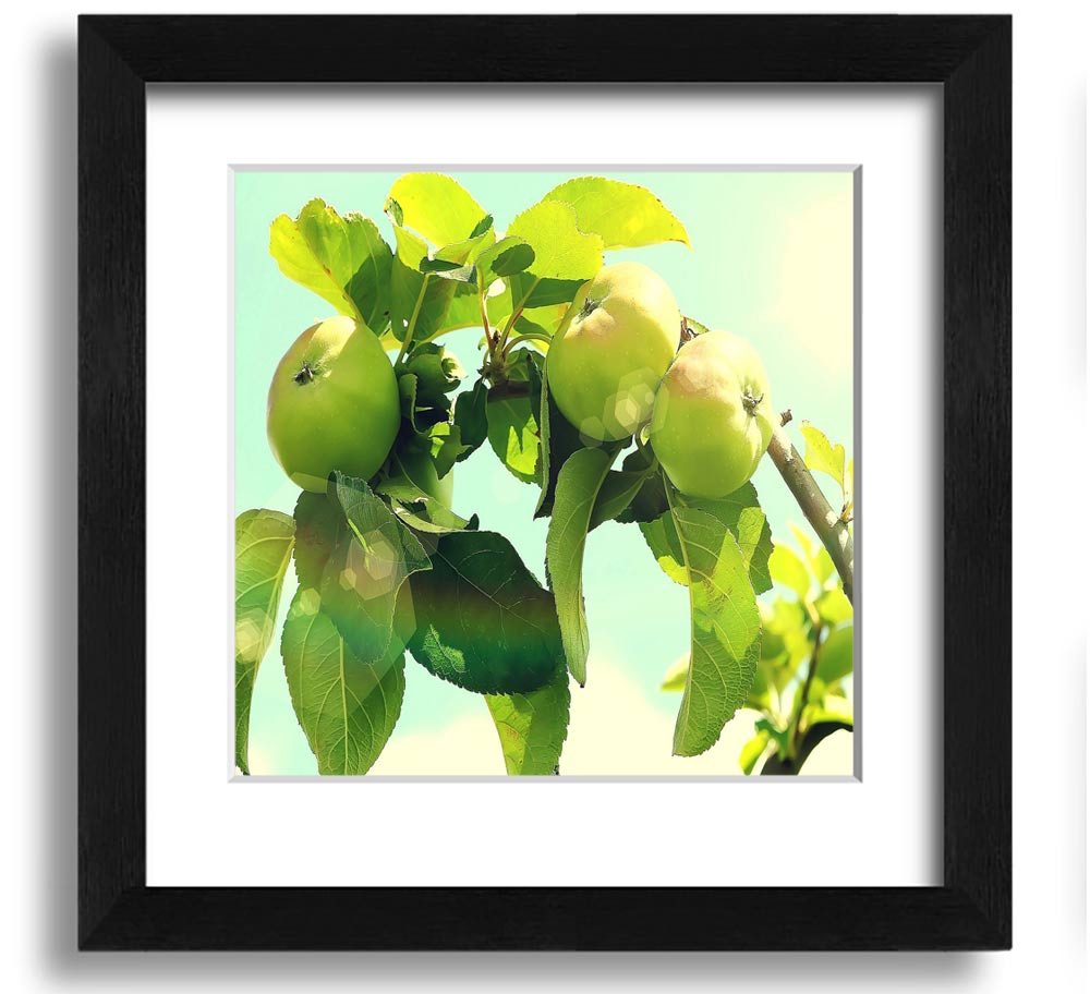 A beautifully framed square print of an apple tree, showcasing vibrant colors and intricate details, ready to hang on the wall.