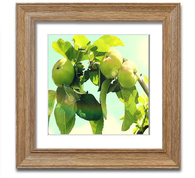 A beautifully framed square print of an apple tree, showcasing vibrant colors and intricate details, ready to hang on the wall.