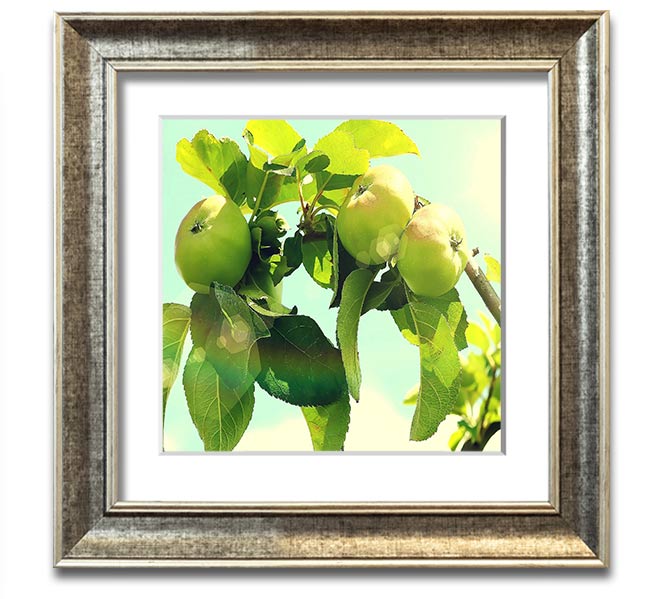 A beautifully framed square print of an apple tree, showcasing vibrant colors and intricate details, ready to hang on the wall.