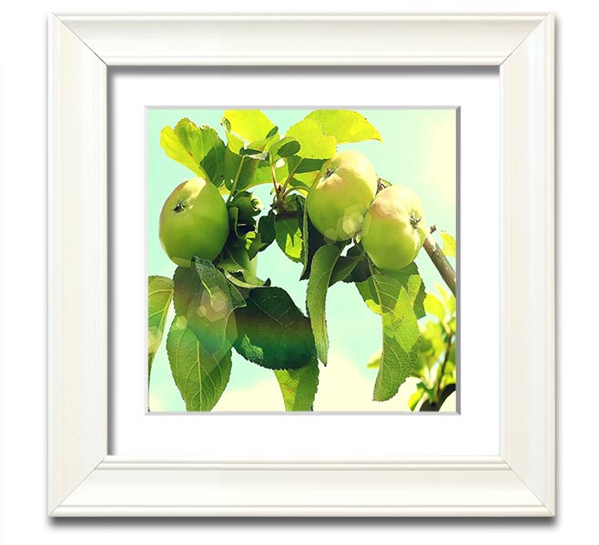 A beautifully framed square print of an apple tree, showcasing vibrant colors and intricate details, ready to hang on the wall.