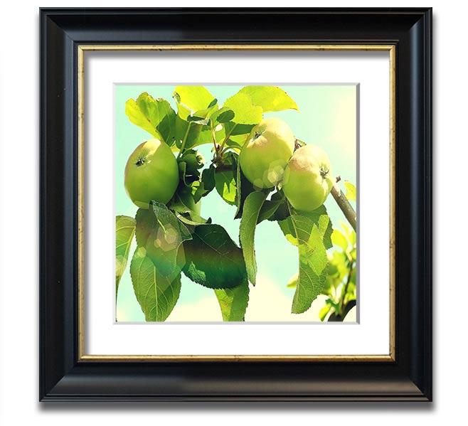 A beautifully framed square print of an apple tree, showcasing vibrant colors and intricate details, ready to hang on the wall.