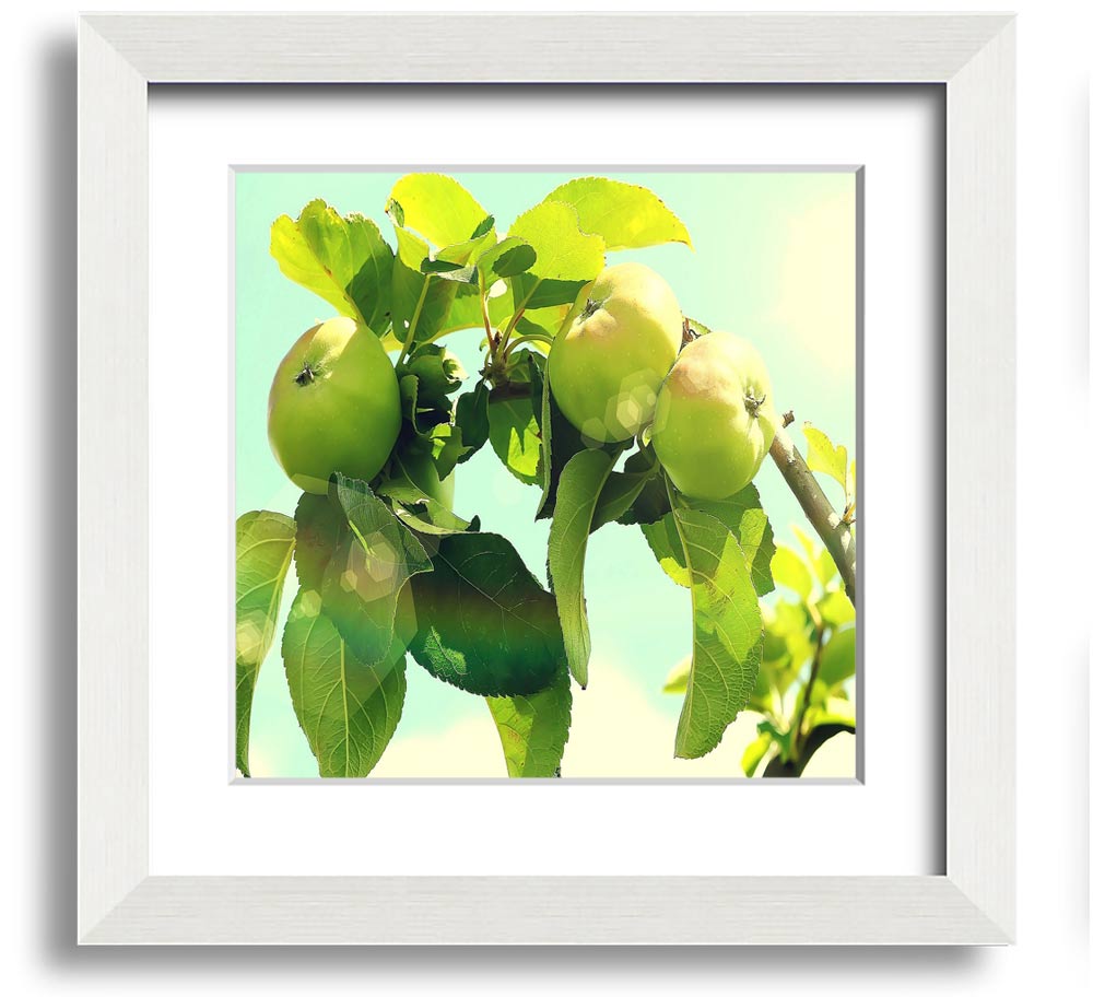 A beautifully framed square print of an apple tree, showcasing vibrant colors and intricate details, ready to hang on the wall.