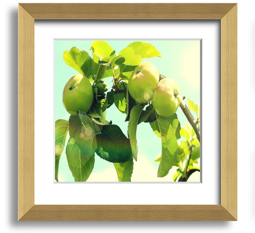 A beautifully framed square print of an apple tree, showcasing vibrant colors and intricate details, ready to hang on the wall.