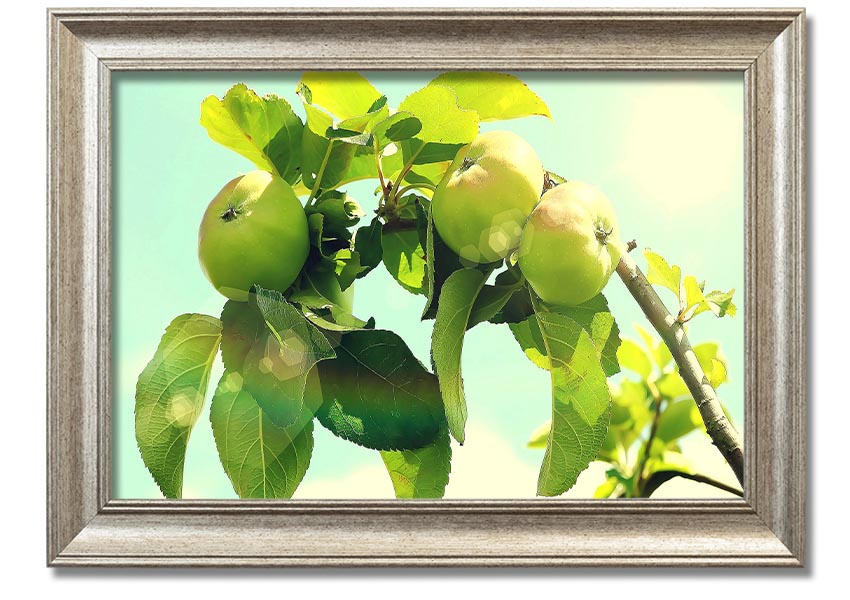 A beautifully framed print of an apple tree, showcasing vibrant colors and intricate details, ready to hang.