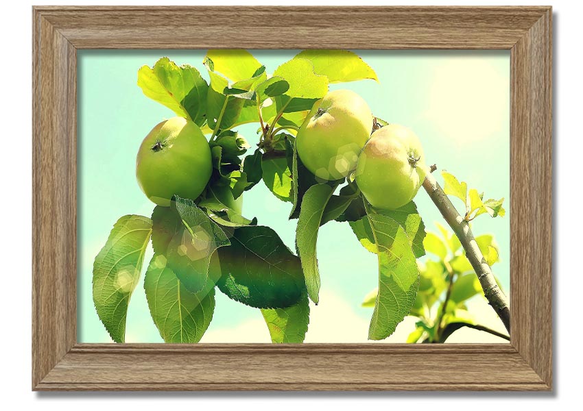 A beautifully framed print of an apple tree, showcasing vibrant colors and intricate details, ready to hang.