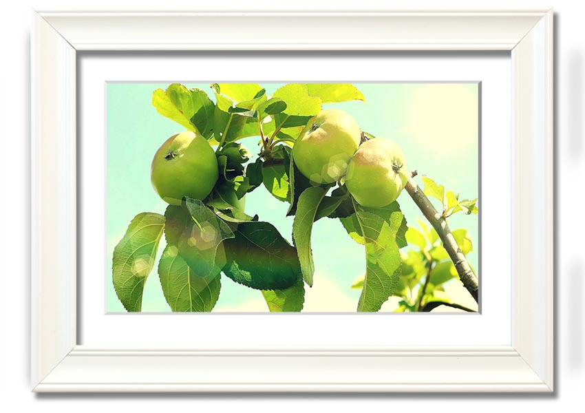 A beautifully framed print of an apple tree, showcasing vibrant colors and intricate details, ready to hang.