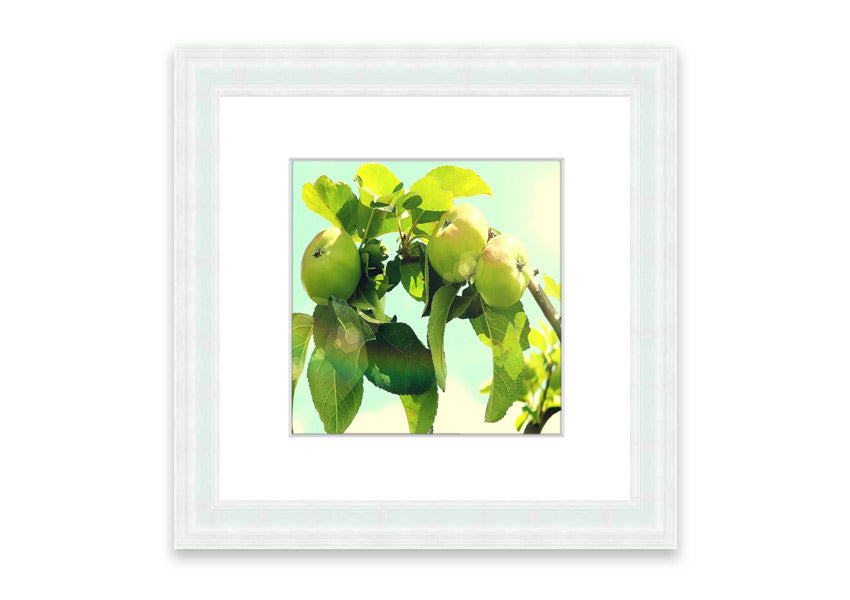 Framed print of an apple tree, handmade in the UK, available in various frame colors.