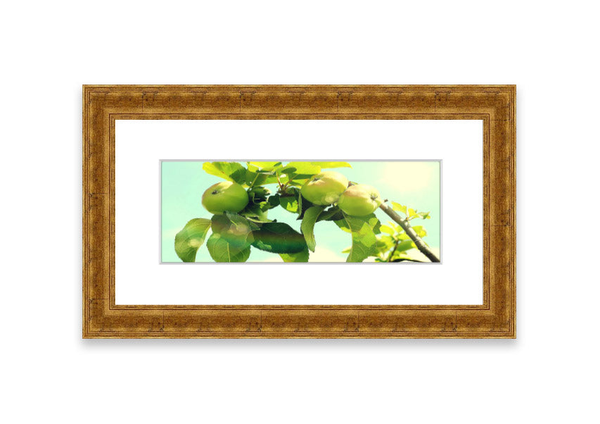 Framed print of an apple tree, handmade in the UK, available in various frame colors.