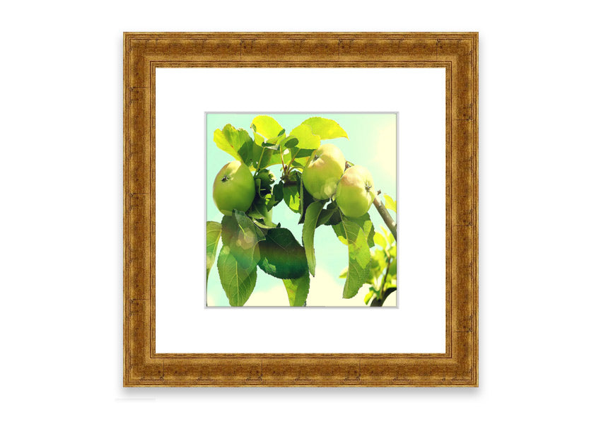 Framed print of an apple tree, handmade in the UK, available in various frame colors.