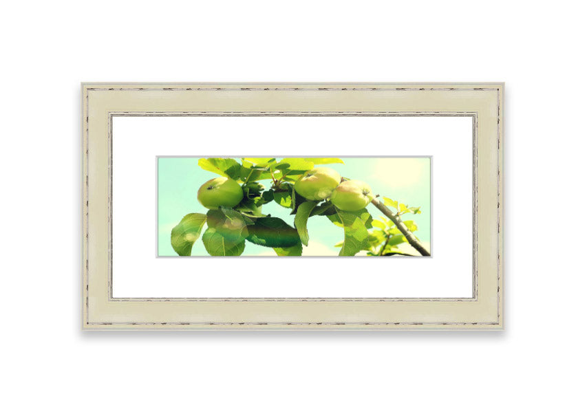 Framed print of an apple tree, handmade in the UK, available in various frame colors.