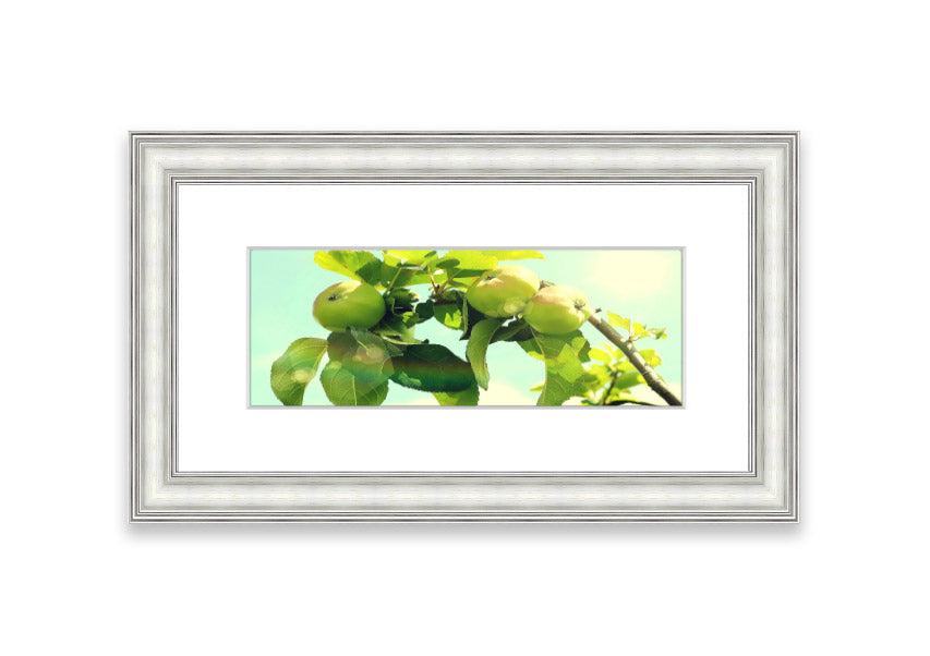 Framed print of an apple tree, handmade in the UK, available in various frame colors.