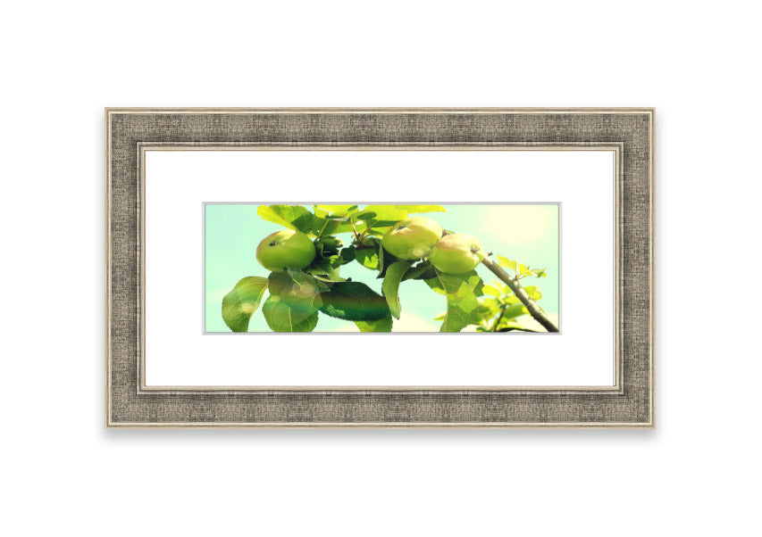 Framed print of an apple tree, handmade in the UK, available in various frame colors.