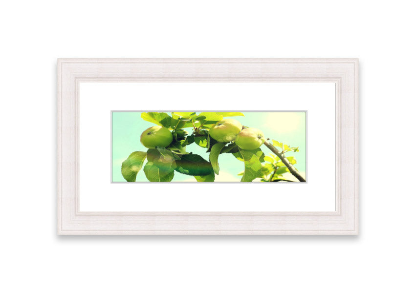 Framed print of an apple tree, handmade in the UK, available in various frame colors.